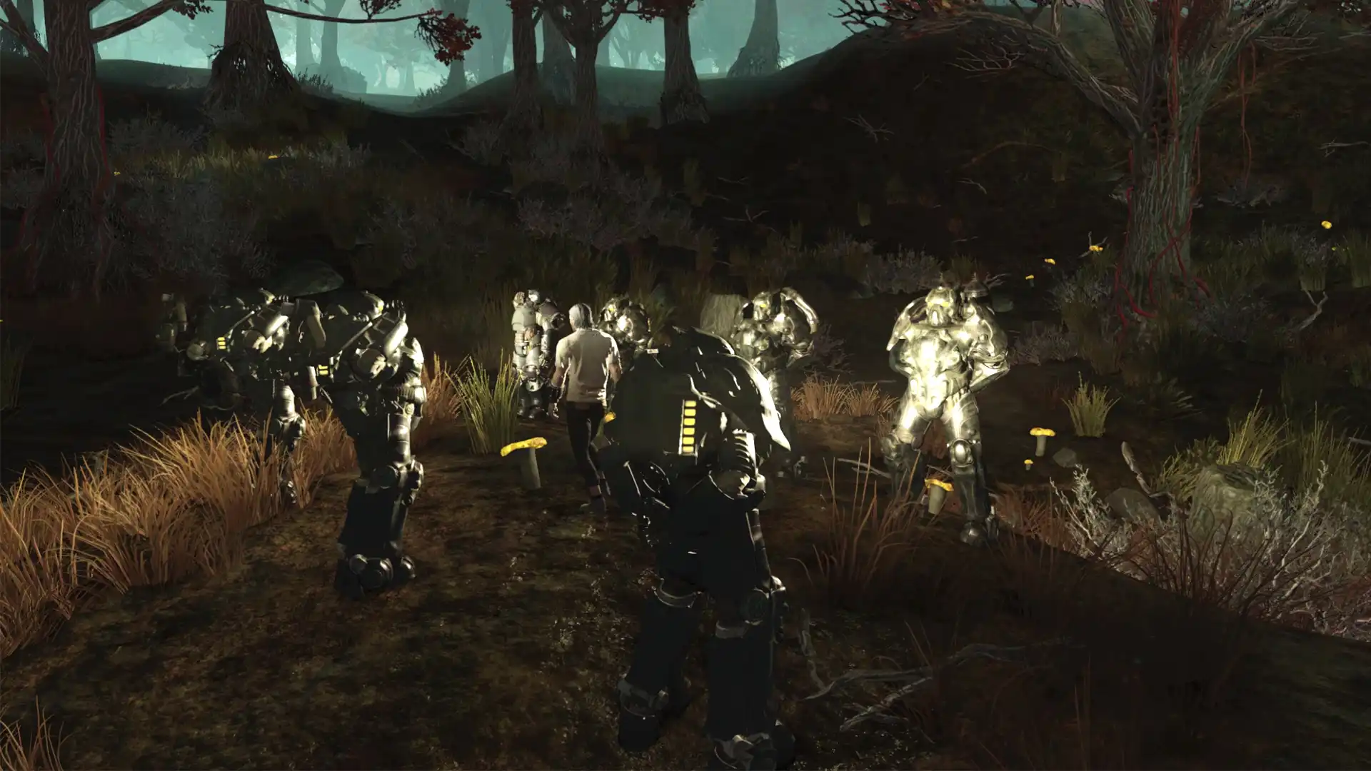 Enclave Nexus military in an honor cordon welcoming a member back